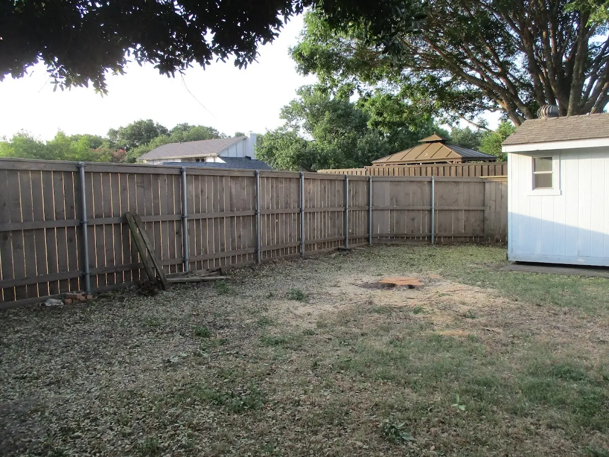 Cleared yard after professional tree removal in South Gate